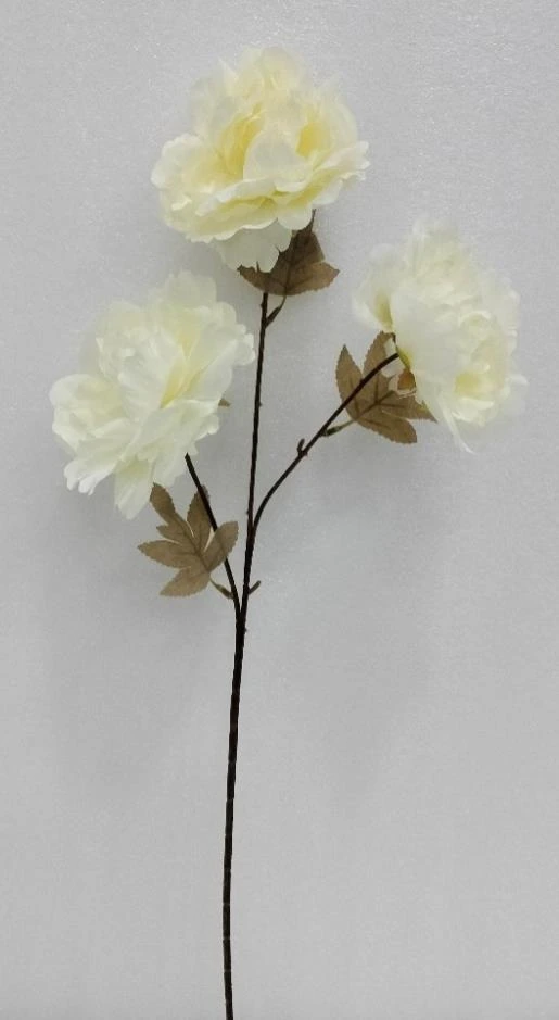Cut Peony Stick x 3